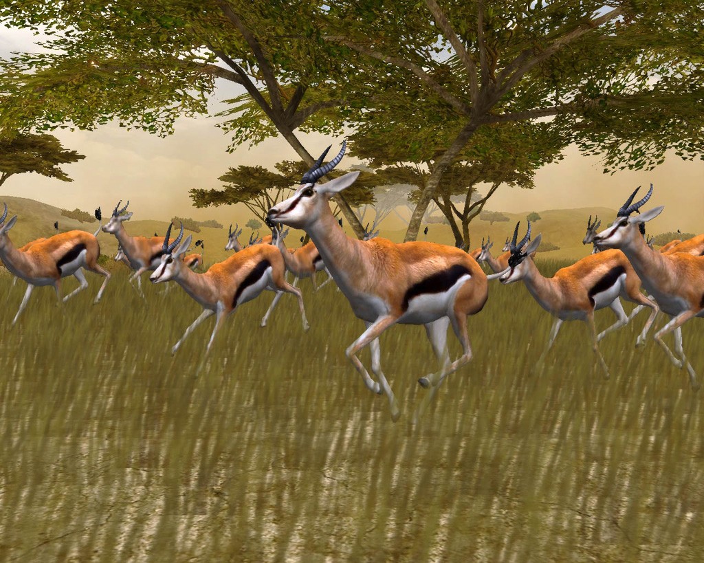 Cabela